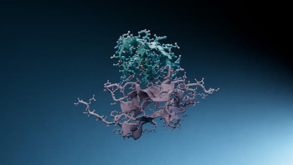 NVIDIA, ilaç keşfi için açık protein tasarım modeli RFD4-Proteina'yı duyurdu